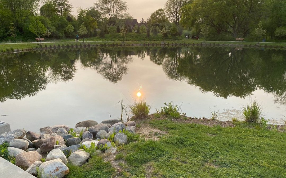 Embrace Innovation and Nature at Innovation Hills Park in Rochester Hills