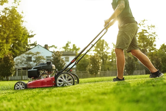 Preparing Your Lawn: The art of creating the perfect growing conditions.