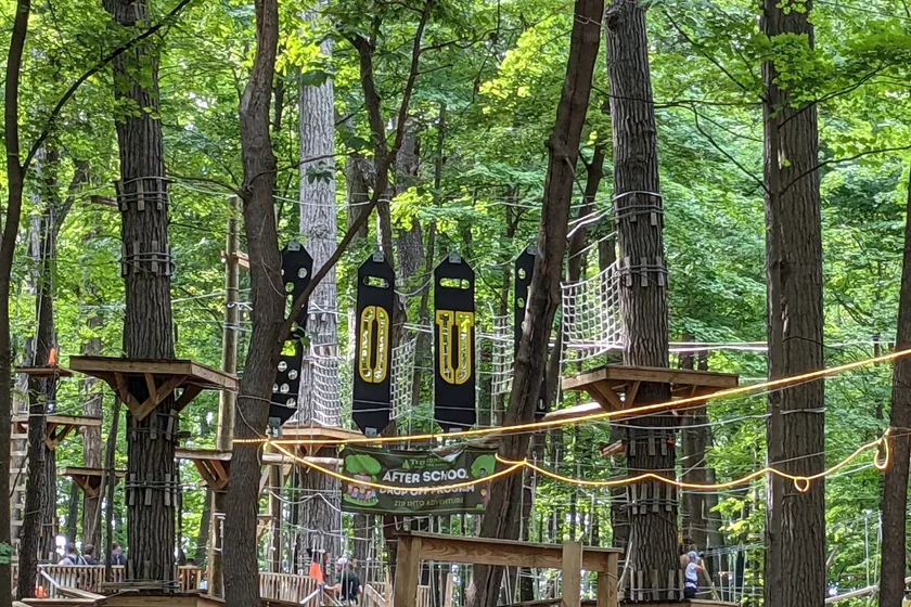 Soar through the trees at TreeRunner Adventure Park in Rochester.