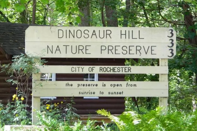 Explore the wilds of Dinosaur Hill Nature Preserve and its seasonal wonders.