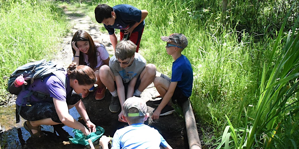 Kids exploring the wilderness, guided by experts, showcases the heart of the Outdoor Adventure Camp experience.