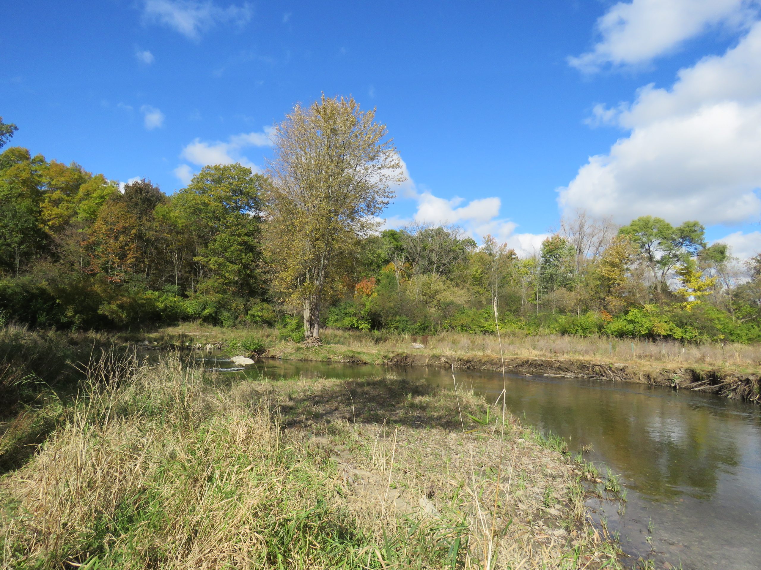 Welcome to the Riverside Trail: A Gateway to History and Nature.